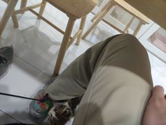 -楼上猫咖(罗湖店)