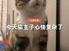 -新荟城(望京店)