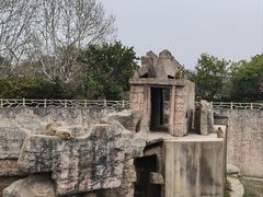 -南昌动物园