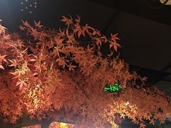 -花间别院(凤凰店)