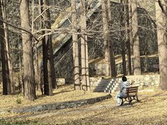 -阳台山自然风景区