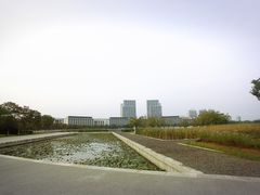 -尚贤河湿地