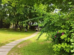 -深圳湾公园(南山区)