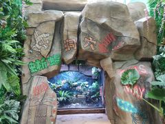 -辛玛王国游乐园