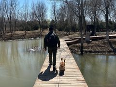 -东郊湿地公园