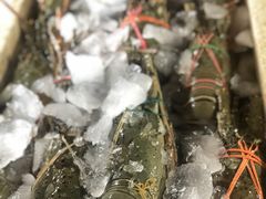 -金巴兰鱼市场