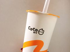 -CoCo都可(双井家乐福店)