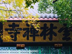 -灵隐飞来峰景区