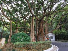 -广州市白云山风景名胜区