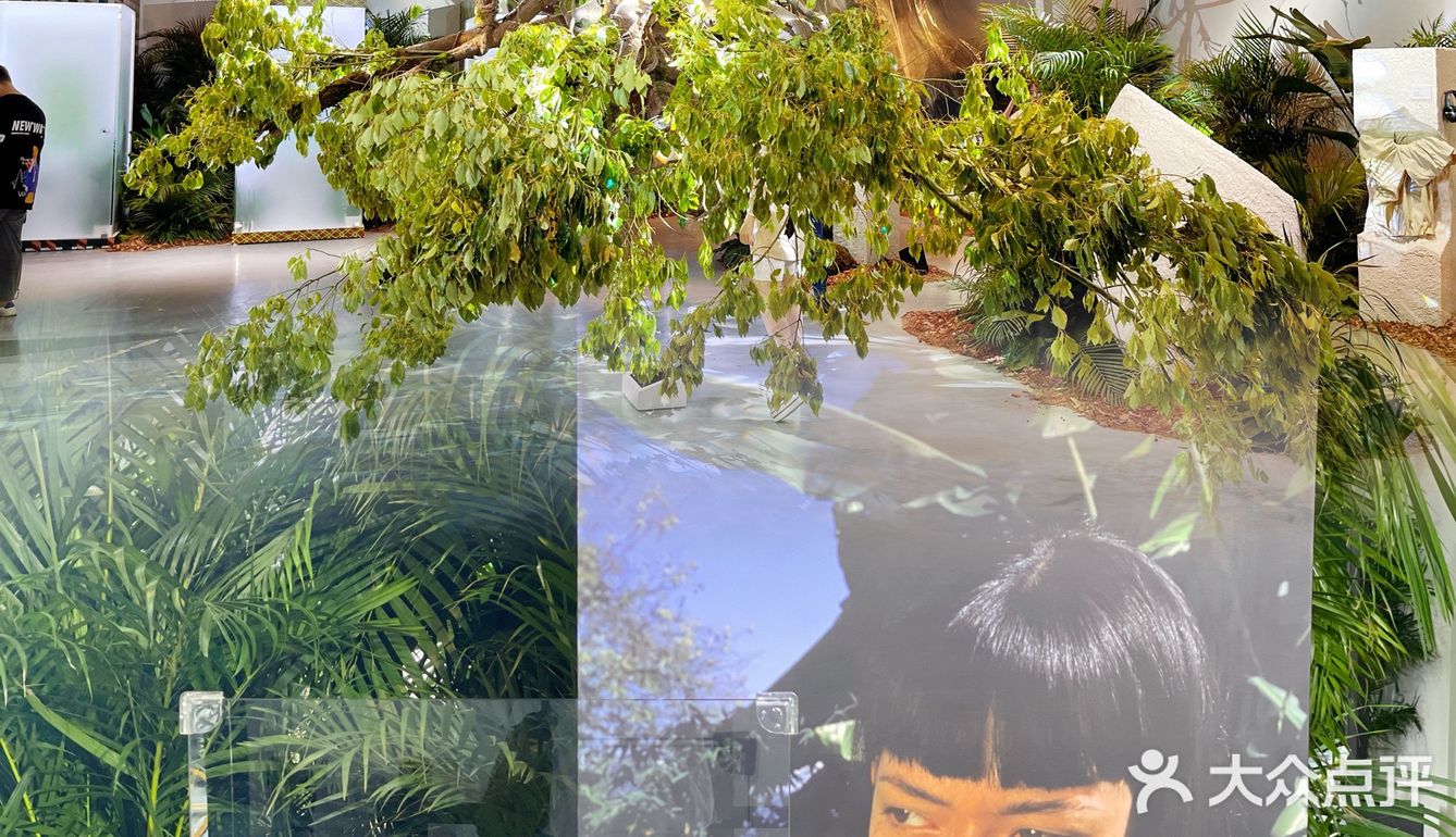 🌲🌱🍃#JNBY温室创意展