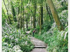 -峨眉山报国寺