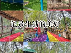 -1982农场
