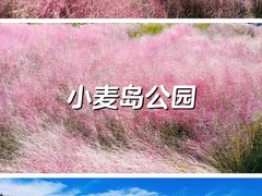 -小麦岛公园