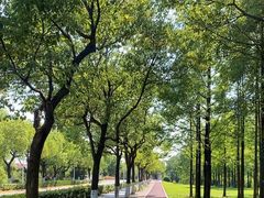 -上海交通大学(闵行校区)