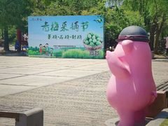 -香雪海