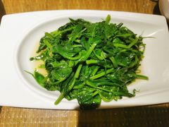 清炒豌豆尖-渝信川菜(长安店)