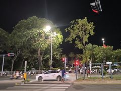 -宝安西湾红树林湿地公园