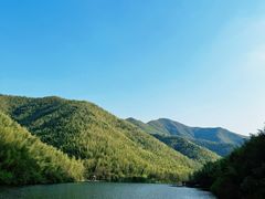 -紫藤园·天目湖大鱼头(南山竹海店)