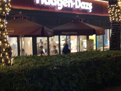 -哈根达斯(武汉天地店)