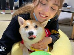 -逗柴咖啡屋·狗咖猫咖宠物桌游