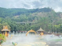 -西双版纳原始森林公园