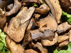 -滇野云南野生菌餐厅(陕西南路店)