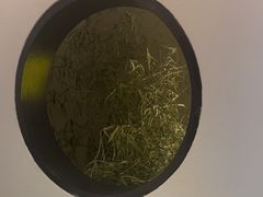 -江南雅厨(李公堤店)