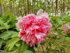 -仁和公园(顺义区)