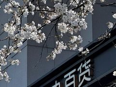 -新世界大丸百货