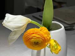 -春树下·树屋花房西餐厅(罍街AS1980店)