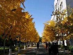 -东北大学(南湖校区)
