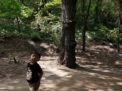 -白水寺森林公园