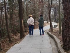 -冶父山国家森林公园