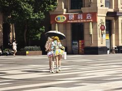 -荆九爷爆炒桥头三嫩(浙大店)