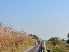 -芒洲湿地公园