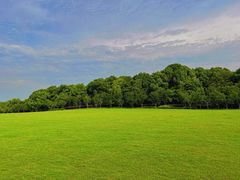 -昆山城市生态森林公园