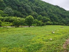 -大水川景区