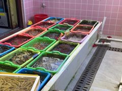 -海胆公主南澳岛美食海鲜