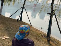 -天鹅湖体育公园