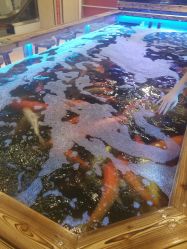 -哈尼鹿儿童乐园(兰州东瓯店)