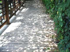 -南江大峡谷