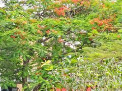 -缘生态云南菜·野生菌庭院餐厅(华侨城店)