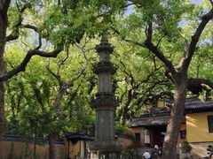-普陀山风景名胜区-法雨禅寺