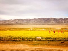 -青海湖国家重点风景名胜区