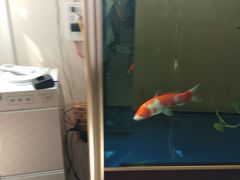 -名人名家     浙菜.家宴