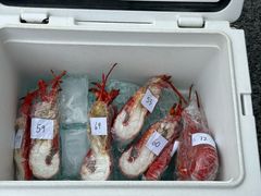 -Kaikoura Seafood BBQ Kiosk