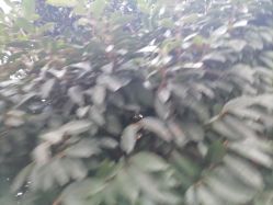 -上海漾颜医疗美容