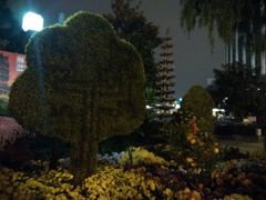 android_upload_pic-西北湖绿化广场