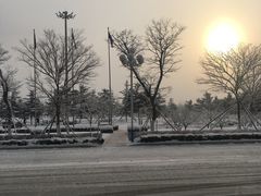 -威海大水泊国际机场