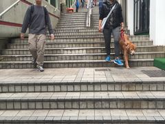 -糖朝(尖沙咀店)